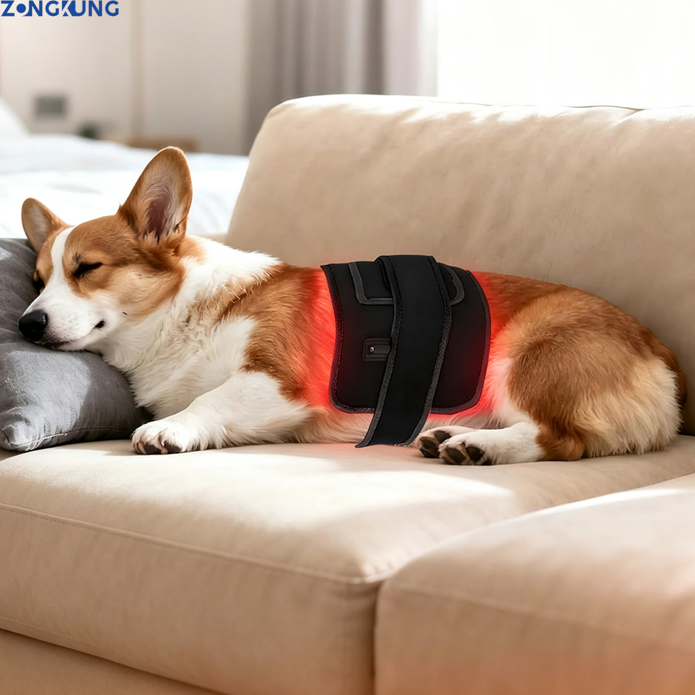 Galvanic Skin Sensor - Terapia de Luz Roja para Mascotas,